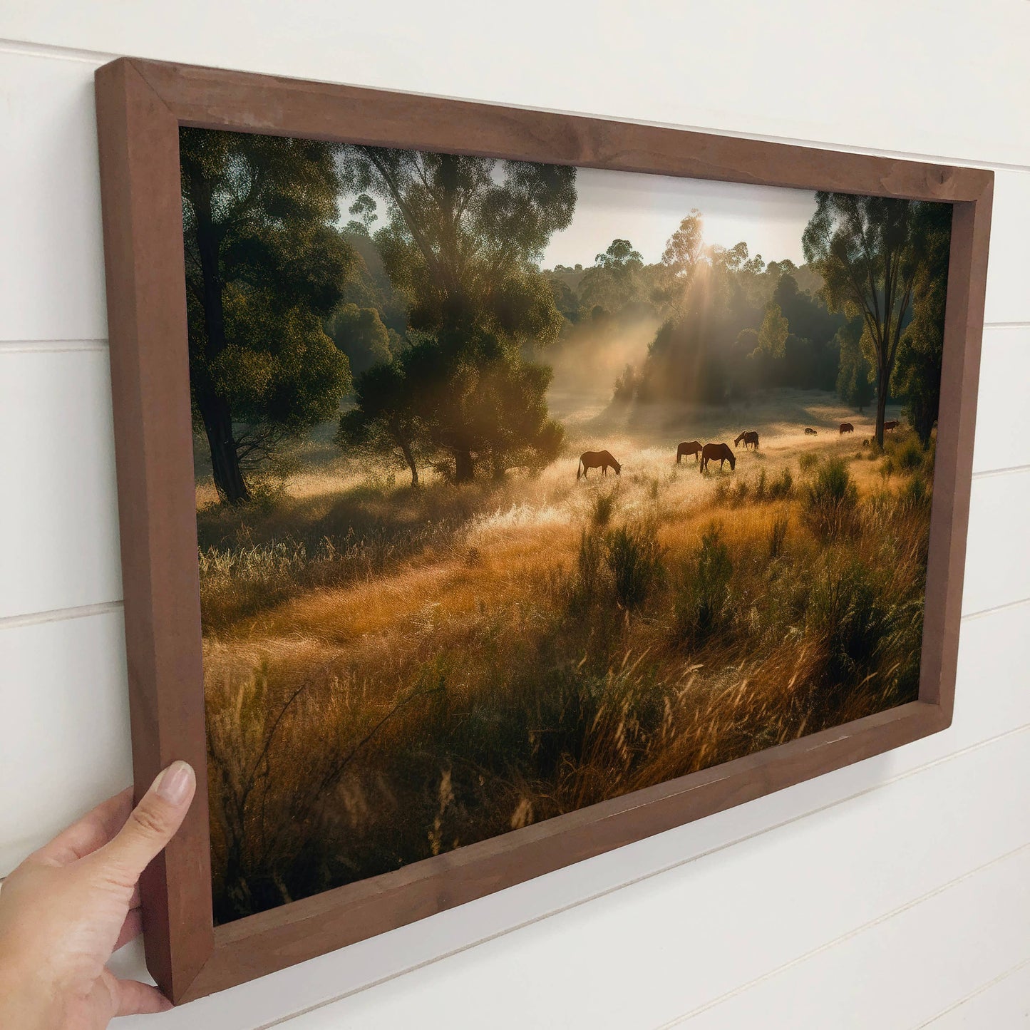 Horses in a Field - Framed Animal Canvas Art - Farmhouse Art: 18x24" Large Canvas Art with Thick Wood Frame