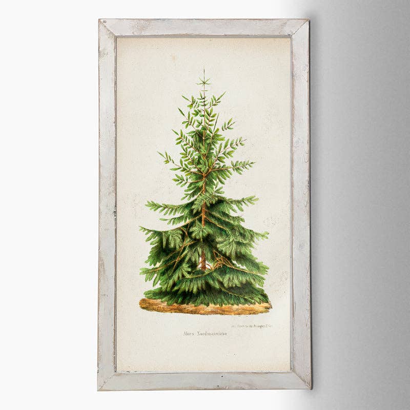 Vintage Tree- 2: HS / Natural