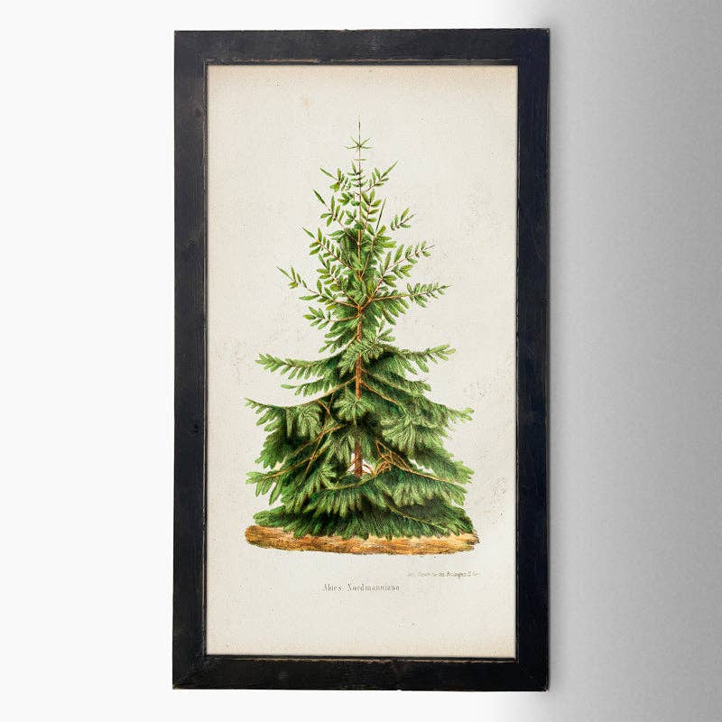 Vintage Tree- 2: HS / Natural