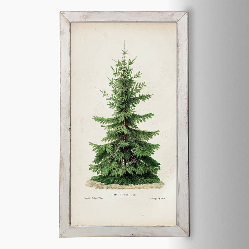 Vintage Tree: HS / Natural