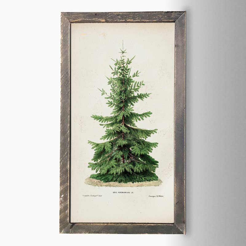 Vintage Tree: HS / Natural