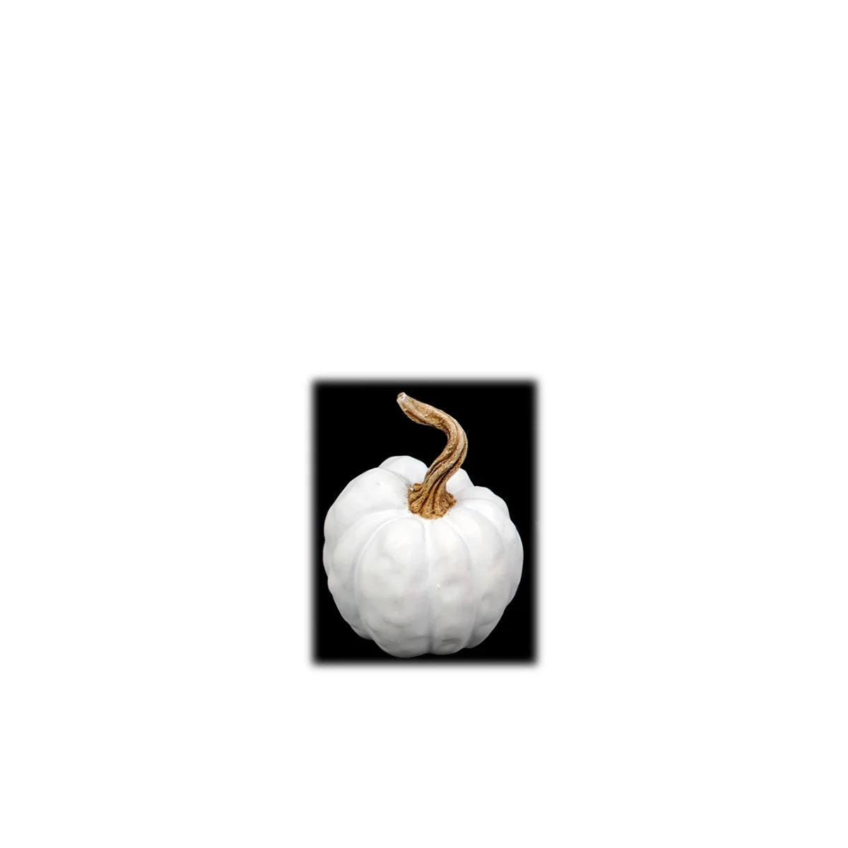 Will's Small Distorted Resin Pumpkin - White
