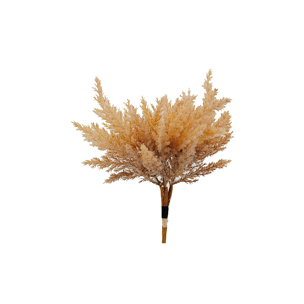 Audrey's Pampas Plumes Spray - Beige