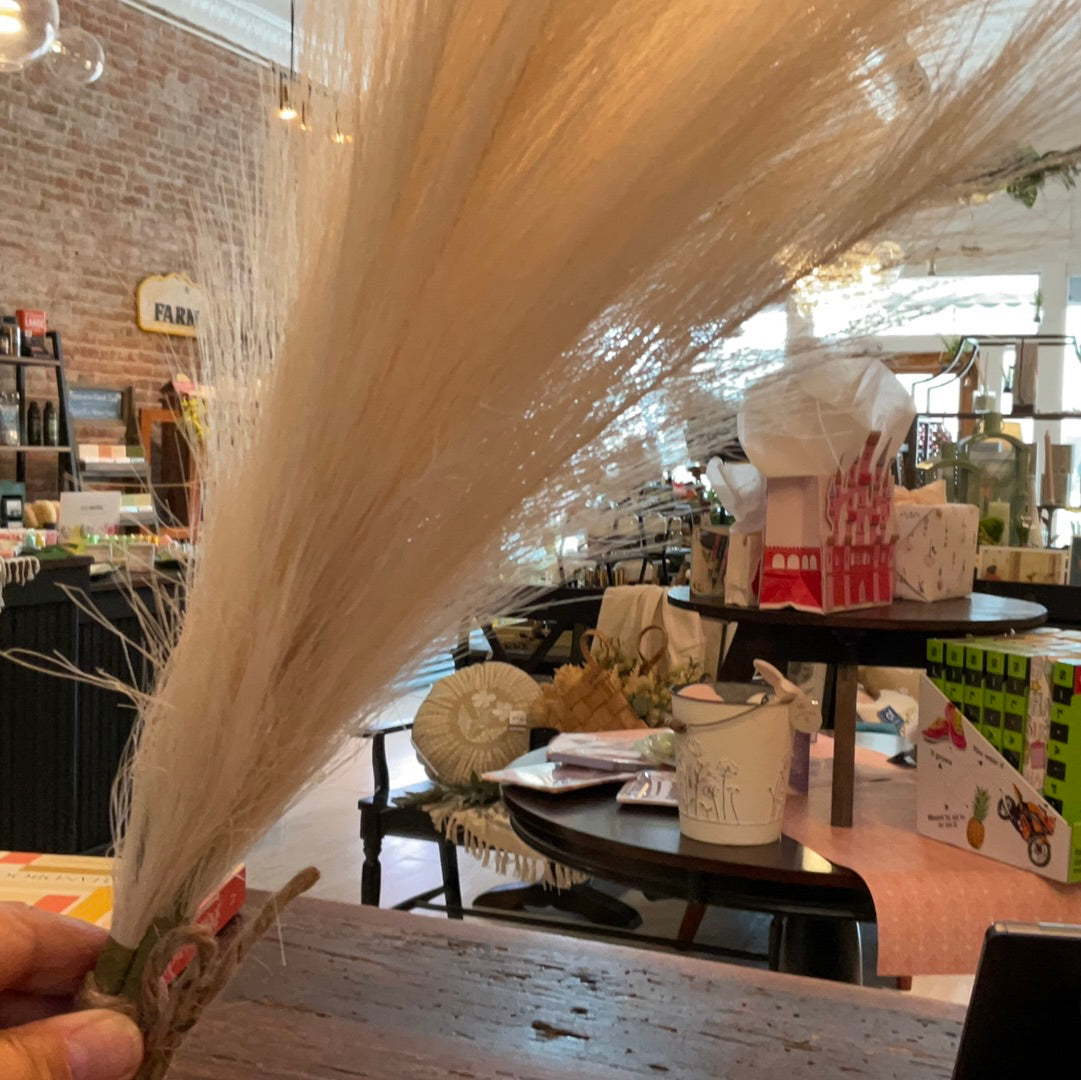 Wills Faux Floral Beige Feather Pampas - 23” Pick