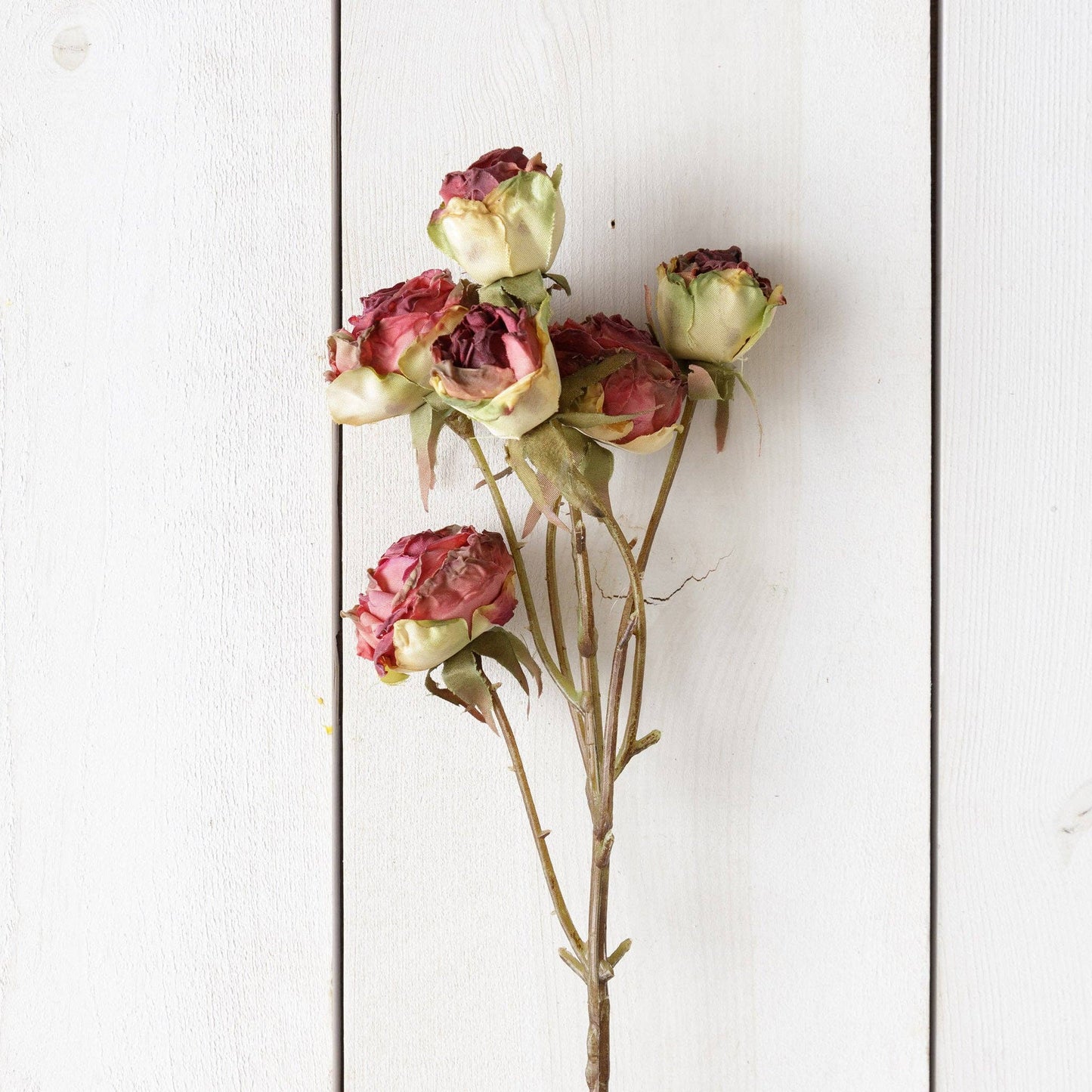 Audrey's - Branch - Dried Spray Mini Burgundy Roses