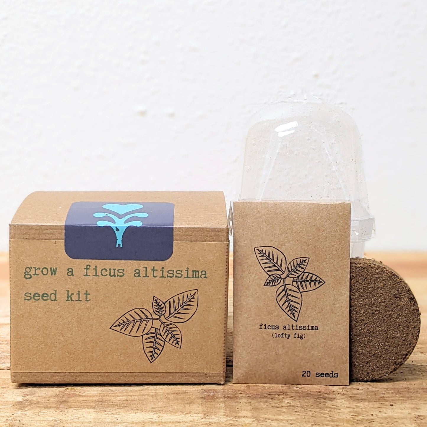 Plantflix - Grow a Ficus Altissima Plant Seed Kit