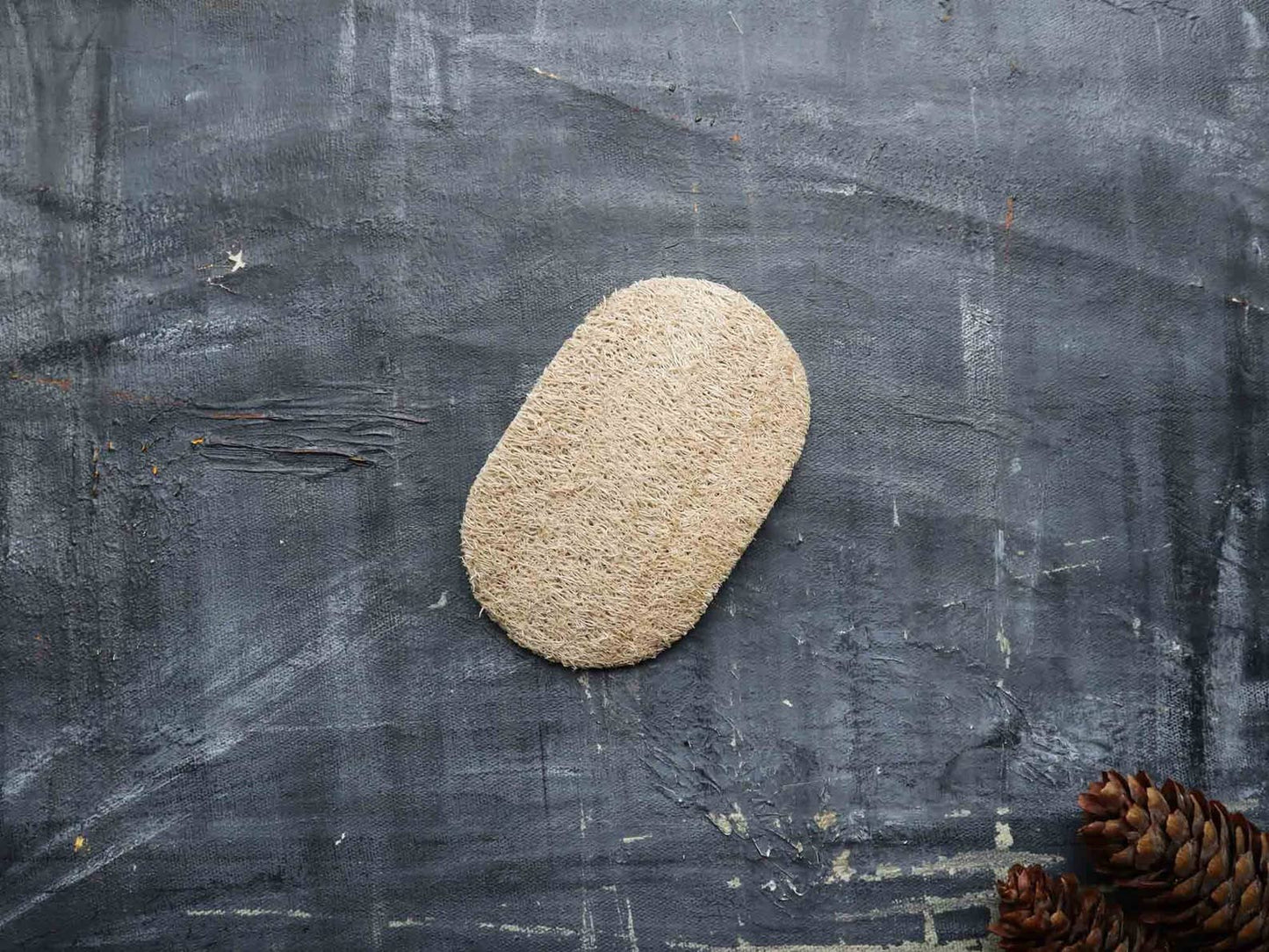 Plantish - Loofah Dishwashing Sponge