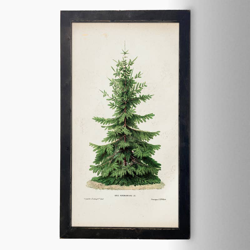 Vintage Tree: HS / Natural