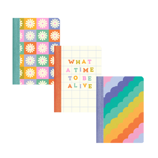 Talking Out of Turn - Mini Notebook Set - Delightful: Delightful