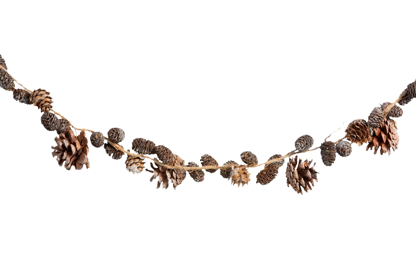 Park Hill Collection - Frosted Mixed Pine Cone Garland