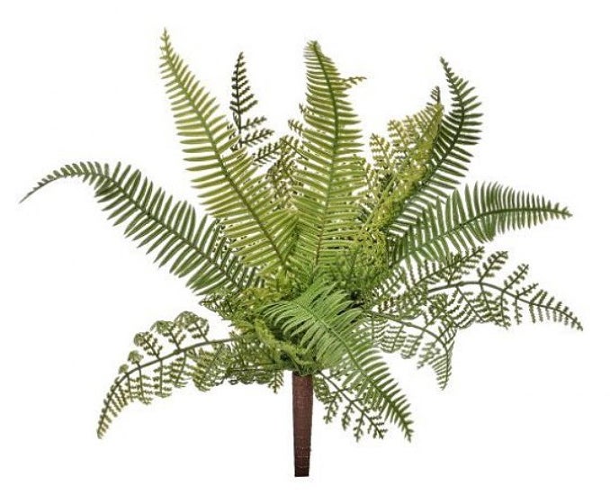 Wills Natural Touch Mixed Fern Plant