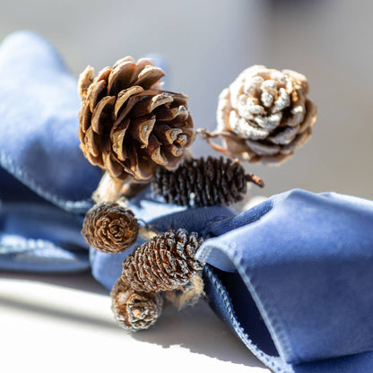 Park Hill Collection - Frosted Mixed Pine Cone Garland