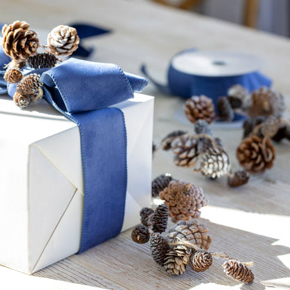 Park Hill Collection - Frosted Mixed Pine Cone Garland