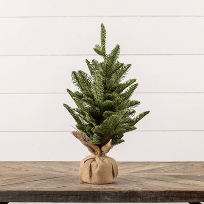 Ragon House - 20" PINE TREE W/ TIED BURLAP BASE