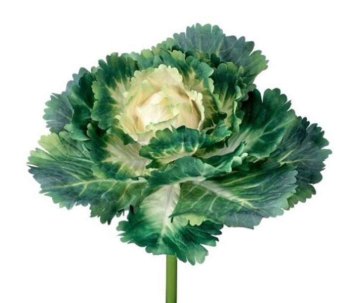 Wills Kale Floral Pick