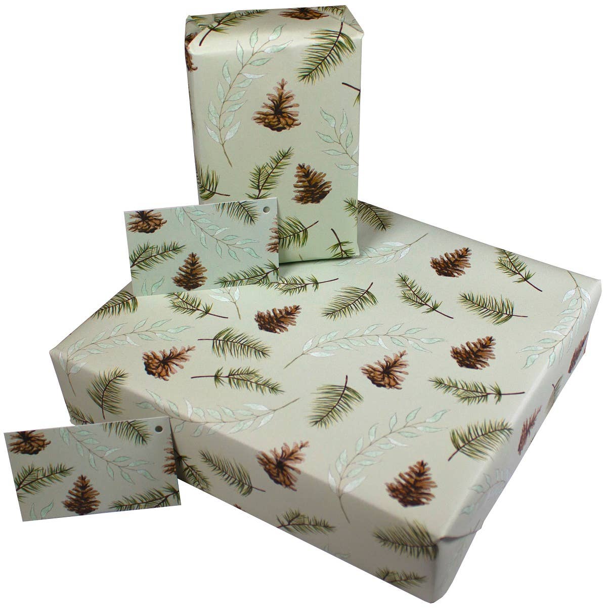 Re-wrapped - Festive Fir Cones Wrapping Paper • 100% Recycled • Vegan Ink