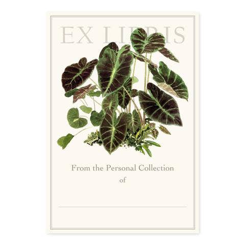 Colocasia Illustris - Bookplates