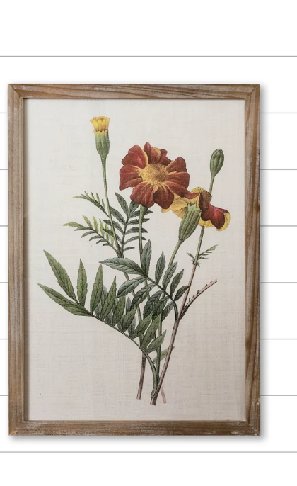 Audrey's Framed Print - Ranunculus