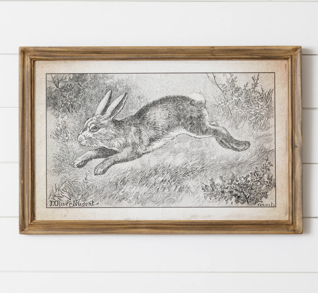 Audrey's Framed Print - Leaping Rabbit