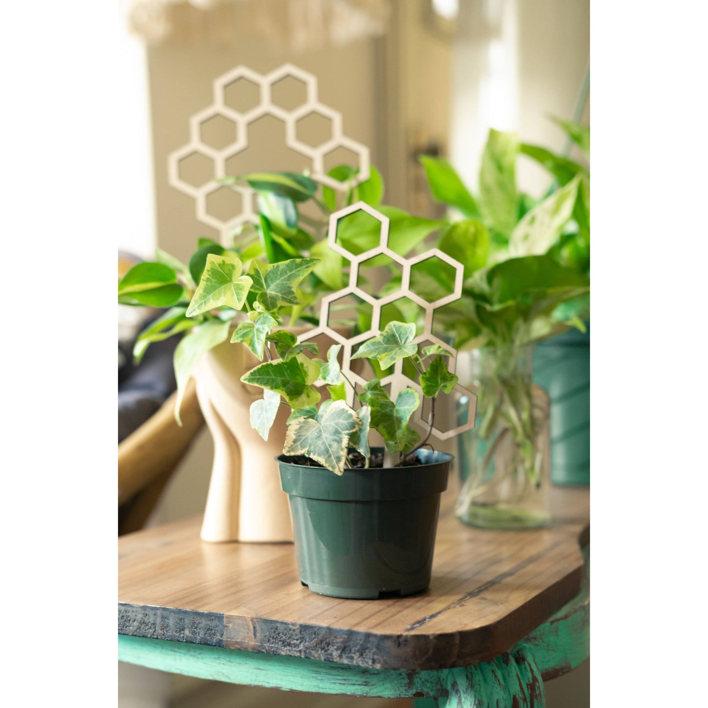PlantsNStuff - 7.5” Honeycomb Plant Trellis