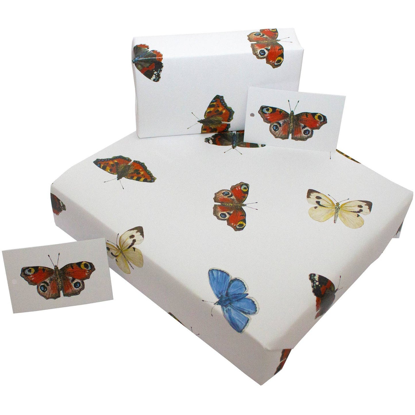English Butterflies Wrapping Paper • 100% Recycled • UK Made