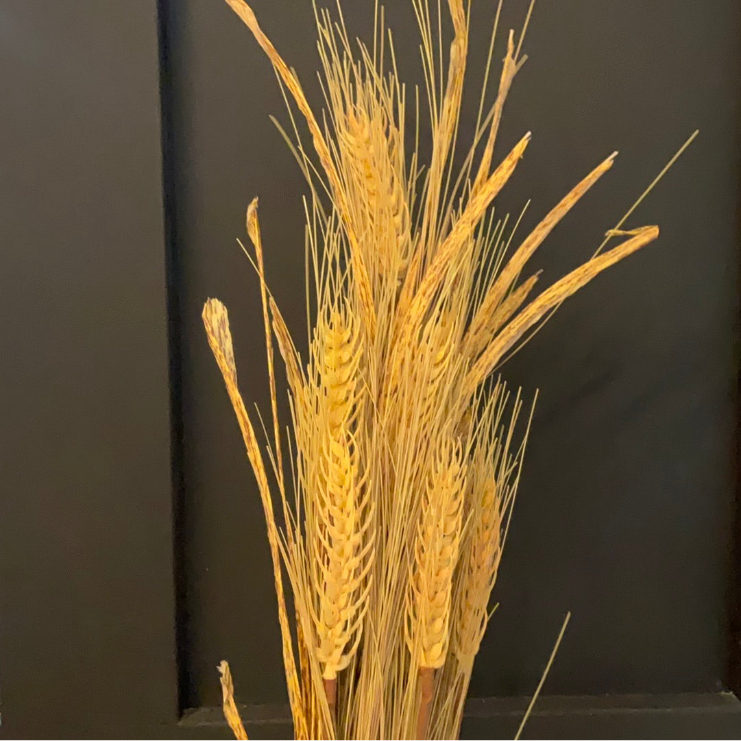 Wheat Grass Spray -Silk -  Wills Co