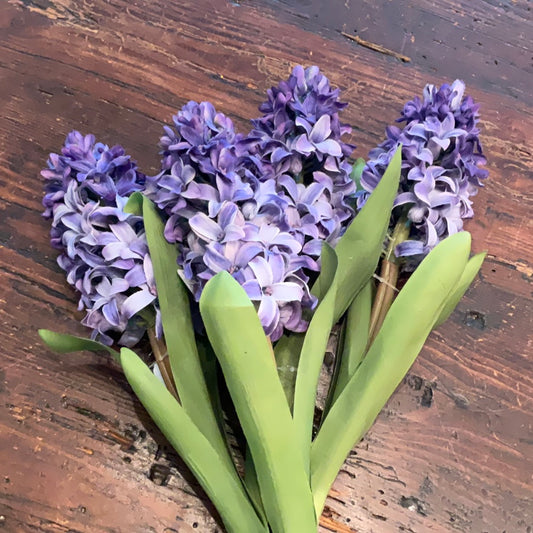 BDC Hyacinth Silk Stem