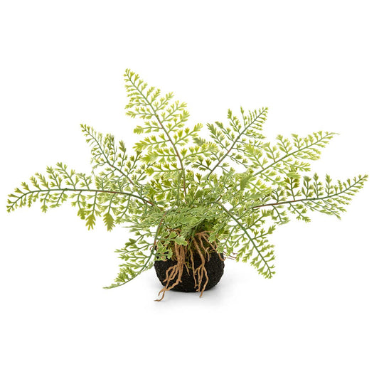 MAIDENHAIR FERN WITH FAUX DIRT, MOSS AND ROOTS